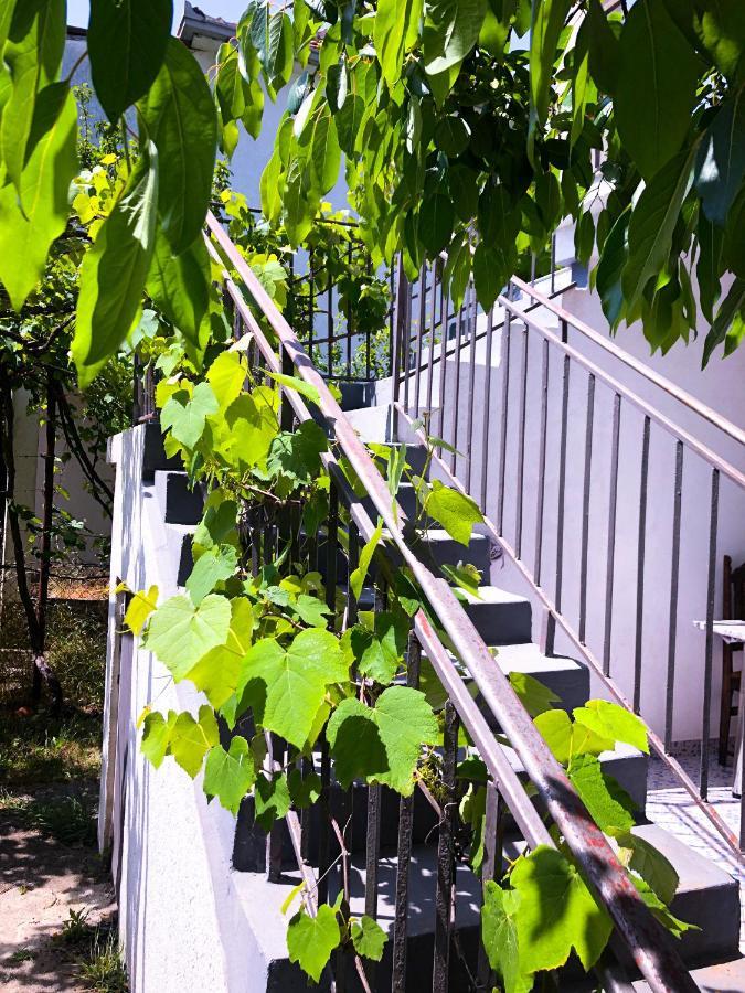 Renata Holiday Apartments Ulcinj Exteriér fotografie