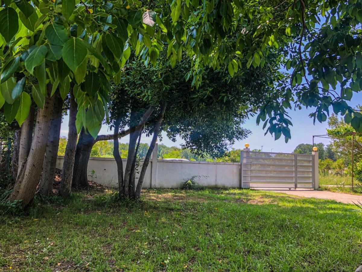 Renata Holiday Apartments Ulcinj Exteriér fotografie